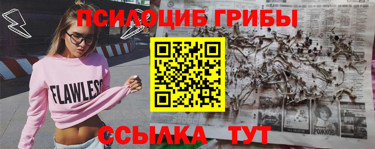 Псилоцибиновые грибы GOLDEN TEACHER  Псилоцибиновые грибы MAGIC MUSHROOMS  Волжский  Вход с VPN 